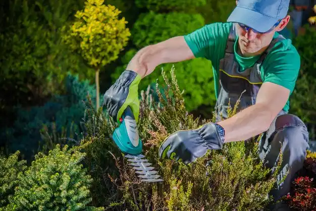 landscaping services Trotwood
